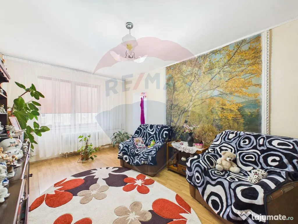 Apartament cu 4 camere de vanzare in Rahova, 90mp