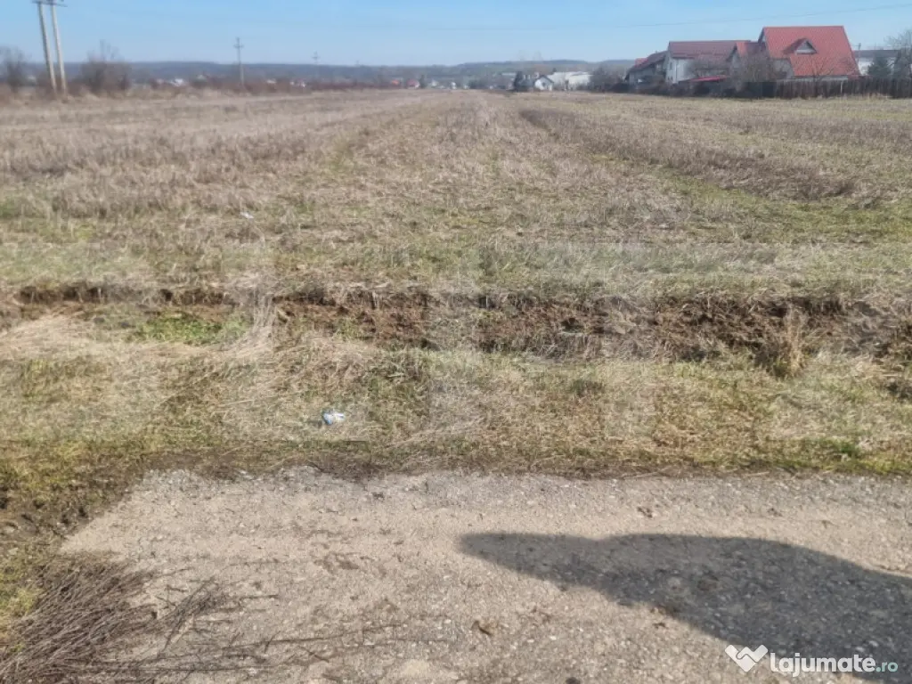 TEREN INTRAVILAN CONSTRUCTII 