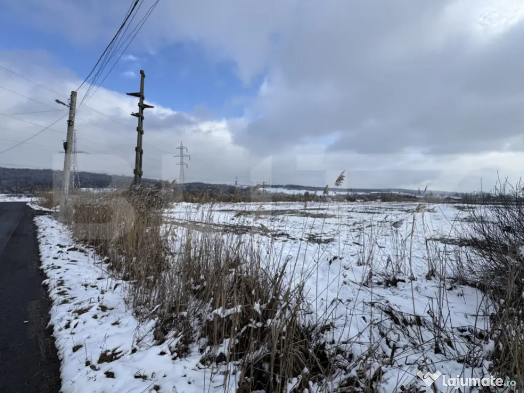 Teren intravilan 35 arii opurtunitate investitie 