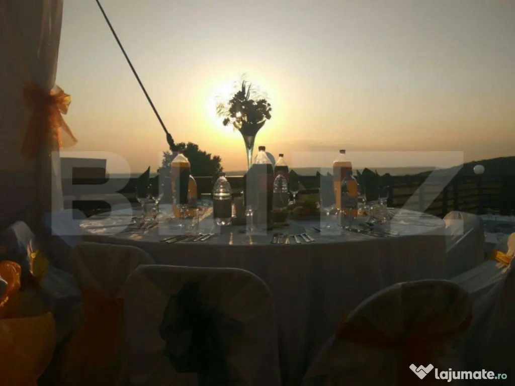 Centru Comercial, 293 mp, Aleea Mănăstirea Dealu 