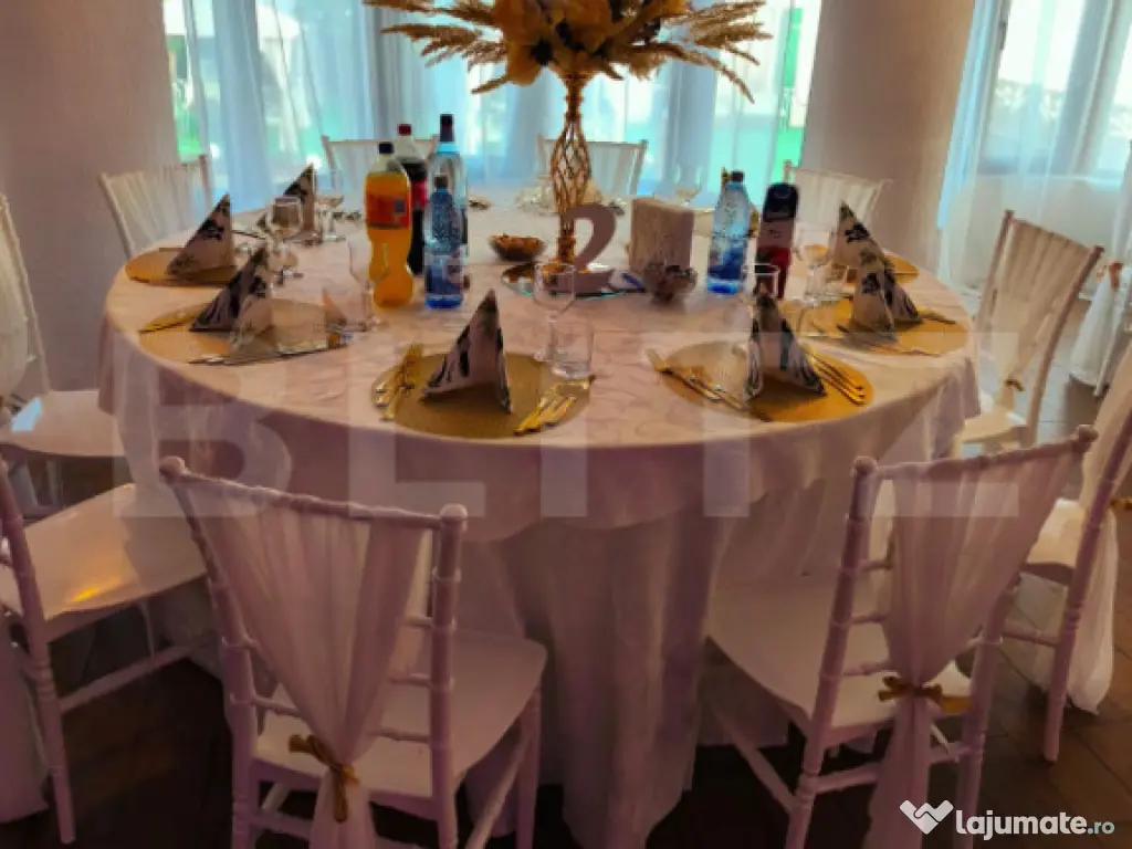 Centru Comercial, 293 mp, Aleea Mănăstirea Dealu 