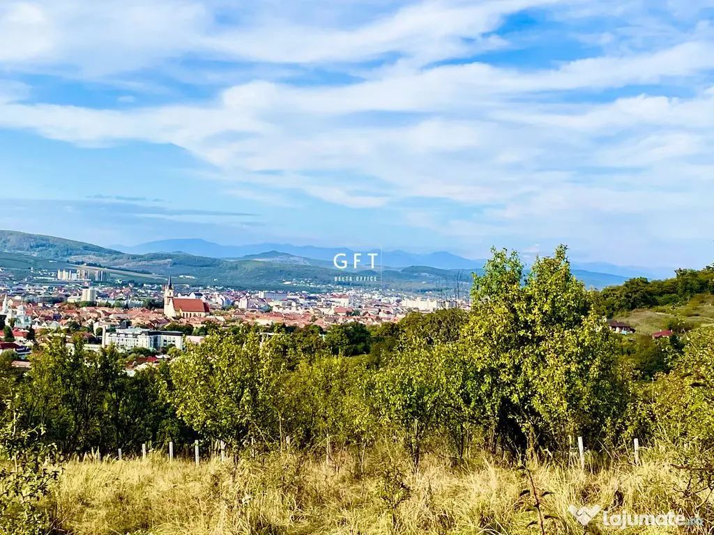 Terenuri de vanzare Bistrita - 22 parcele | 16000 mp 