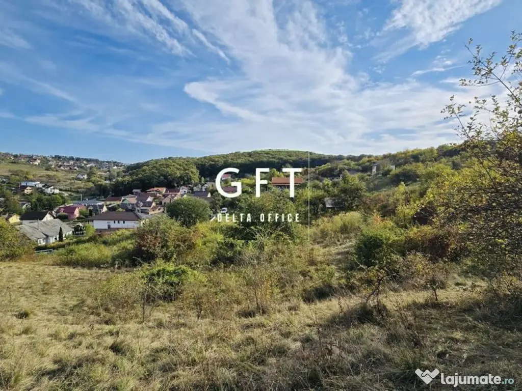 Terenuri de vanzare Bistrita - 22 parcele | 16000 mp 