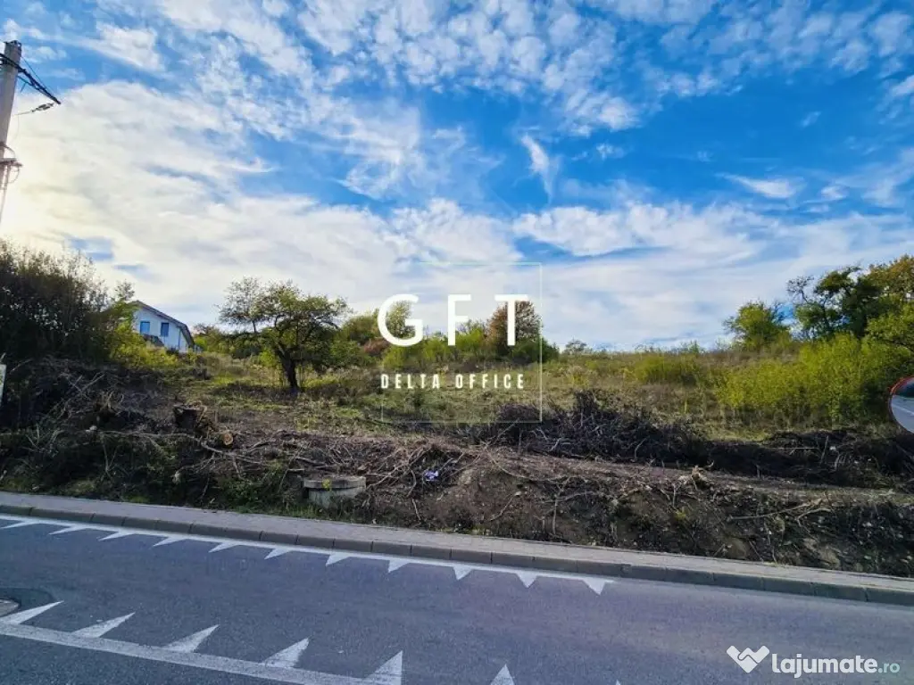 Terenuri de vanzare Bistrita - 22 parcele | 16000 mp 