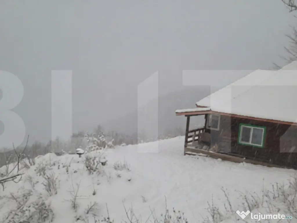 Cabana superbă din bârne de lemn, zona montana – Șugag 