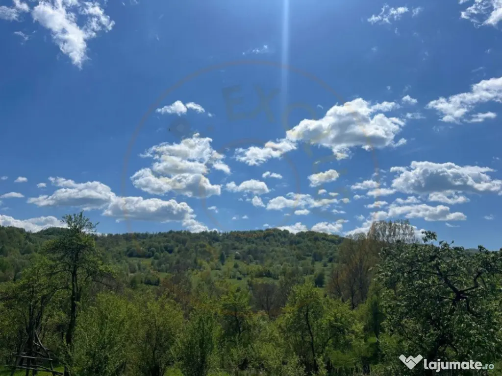 Teren 1200 mp + Casa - Comuna Arefu 