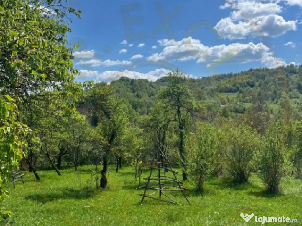 Teren 1200 mp + Casa - Comuna Arefu 