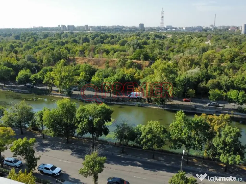 Mihai Bravu - DUPLEX - 550 MP 