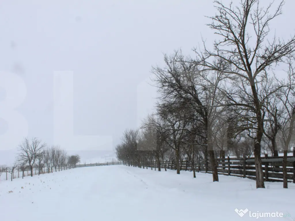 Casă solidă cu teren în Boroșneu Mic – liniște si nat