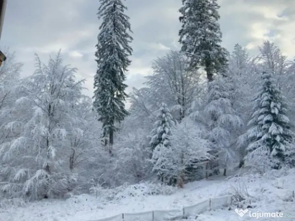 Apartament 3 camere, semidecomandat - Poiana Brasov