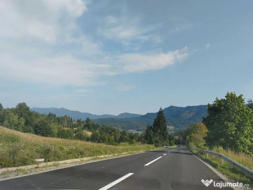 Teren Colibita - 2 hectare - acces direct din drumul 173 D 