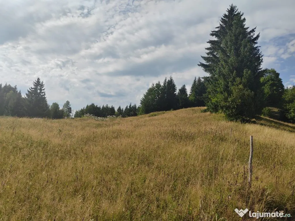 Teren Colibita - 2 hectare - acces direct din drumul 173 D 