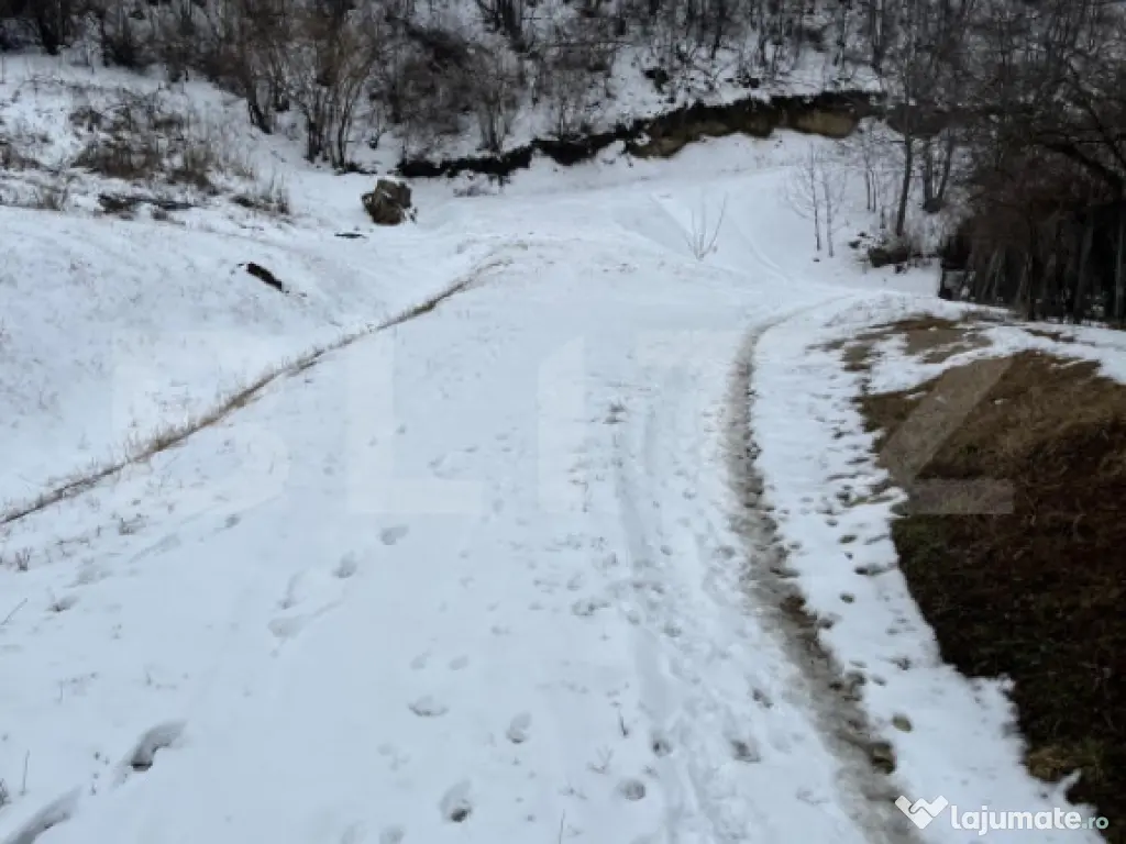 Teren 1240 mp intravilan, Vladiceni 