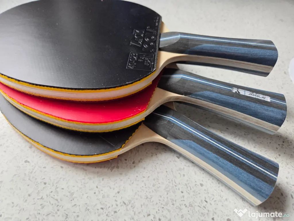 PALETA profesionala tenis de masa JOOLA ALLZACK