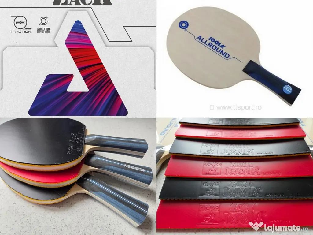 PALETA profesionala tenis de masa JOOLA ALLZACK