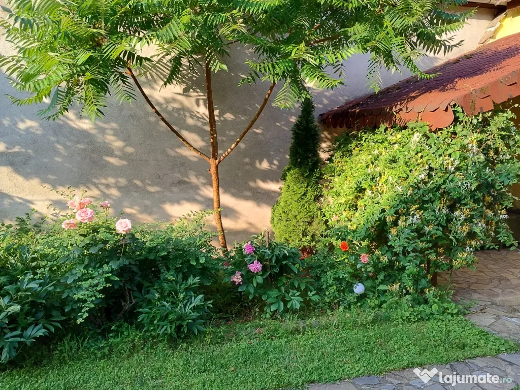 Vând casă în Petrești Alba