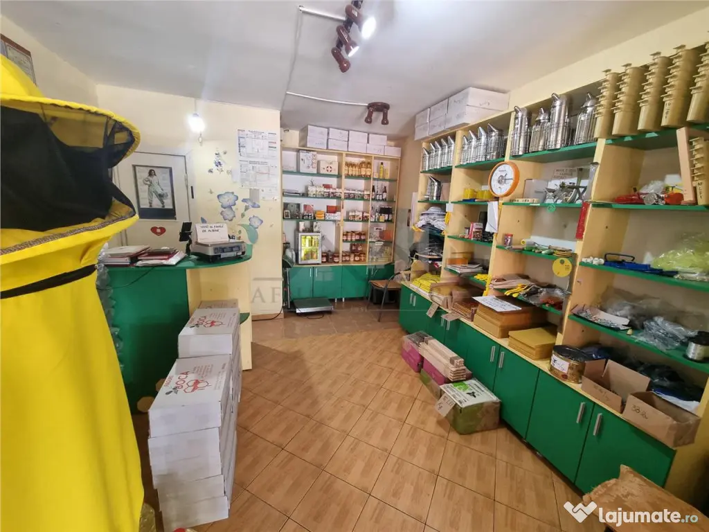 Spatiu comercial 20 mp in Nicolina