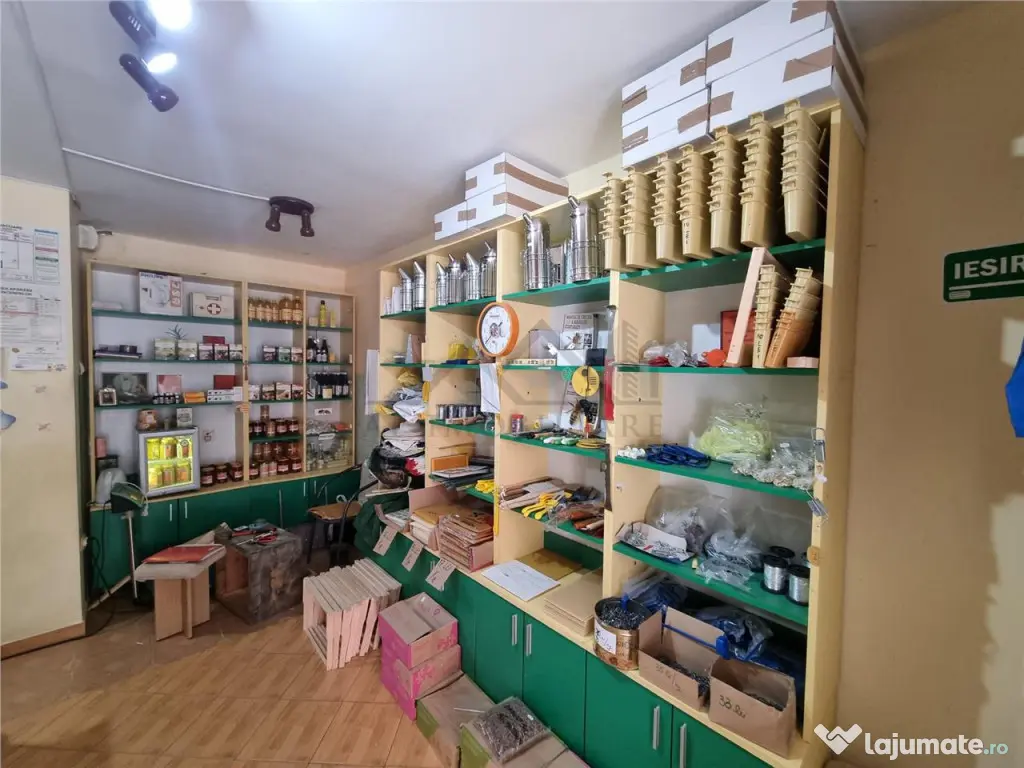 Spatiu comercial 20 mp in Nicolina