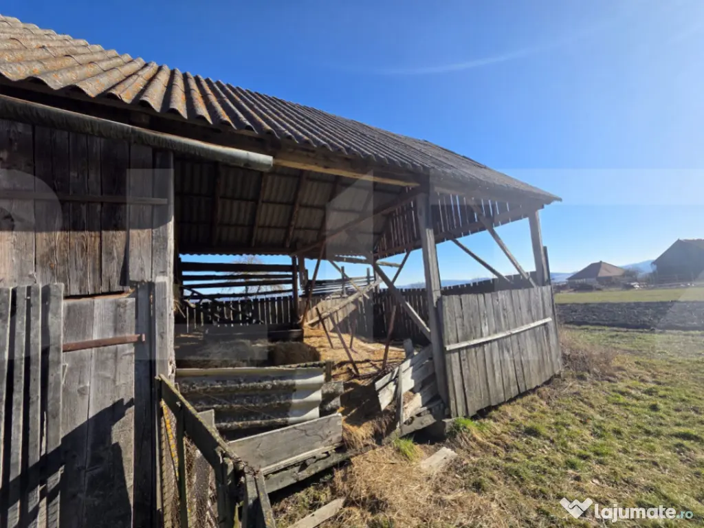 Casa individuala cu 3 camere intr-un teren generos