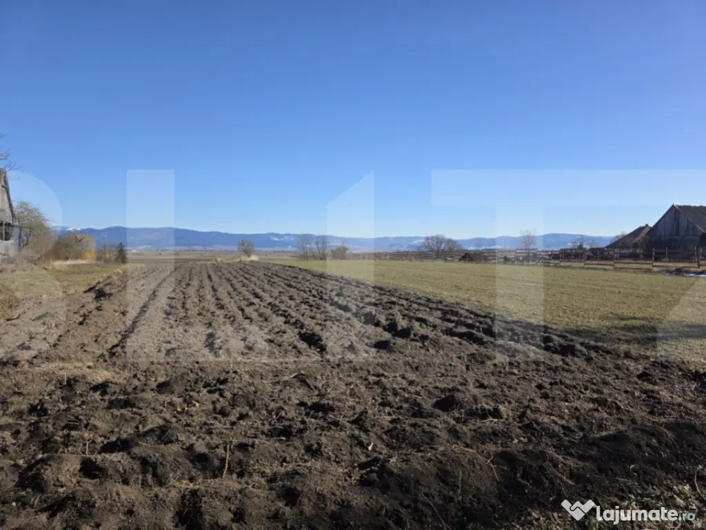 Casa individuala cu 3 camere intr-un teren generos