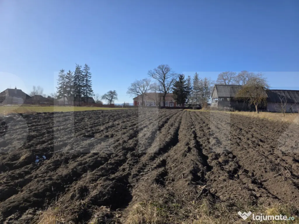 Casa individuala cu 3 camere intr-un teren generos