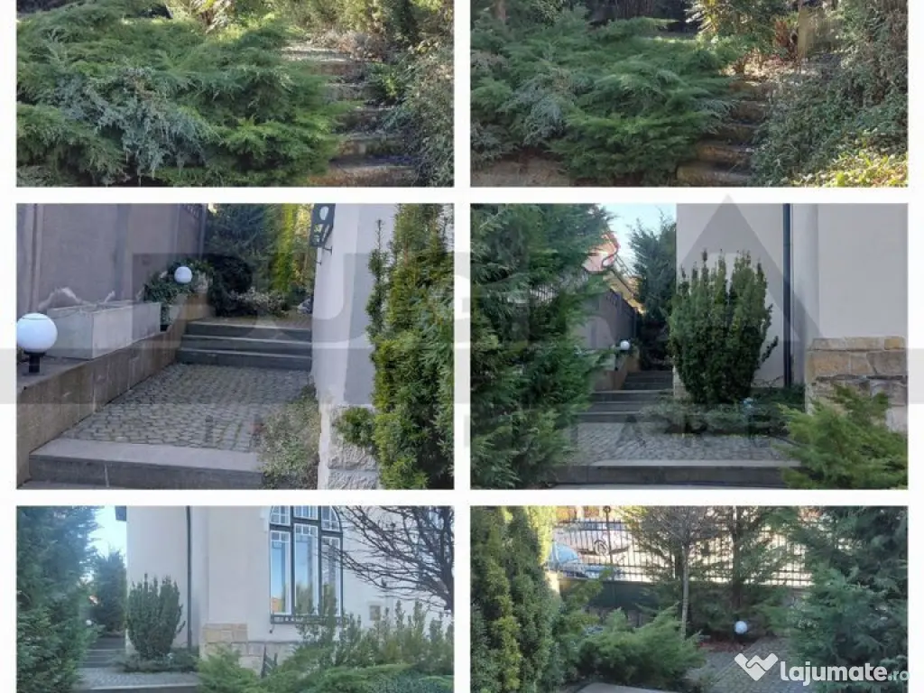 Spatiu pentru birouri, Andrei Muresanu, 185 mp, terasă ... 