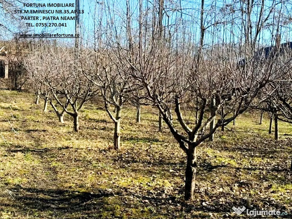 Proprietate com.Girov,compusa din casa,anexe si 880 mp teren 