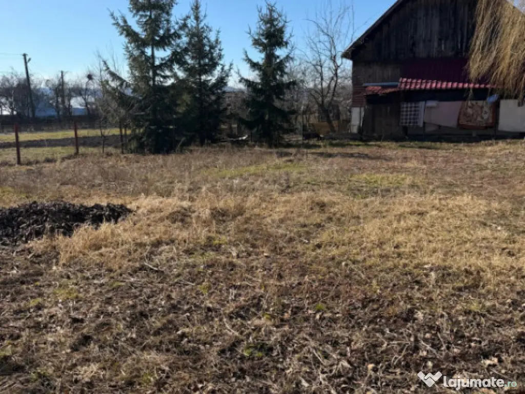 Casa batraneasca , teren 1100mp , centru Horodnic de Jos 