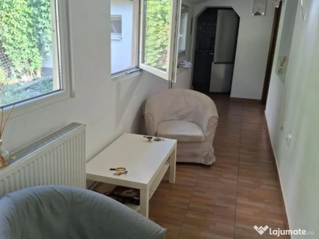 Bdul Ion Mihalache- Pta Chibrit 