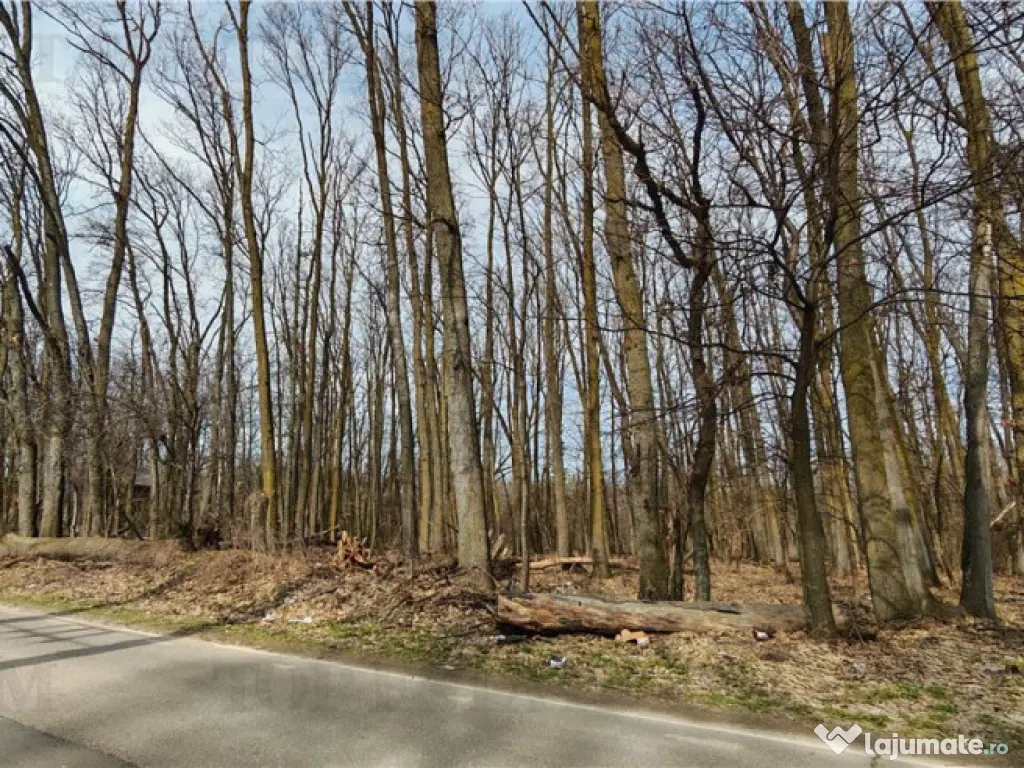 Teren / Padure in Corbeanca - Radarului 