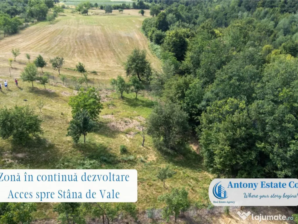 Oportunitate investitionala - Proprietate Ho.Re.Ca - Budurea 