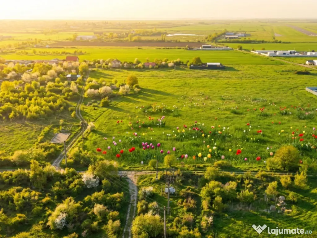 Teren Bragadiru langa A0 - PUZ aprobat, vizibilitate autostr 