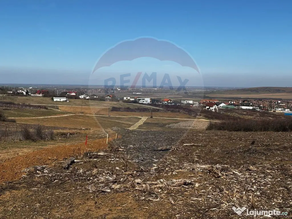Teren de vânzare – Paleu, județul Bihor | 3 parcele a... 