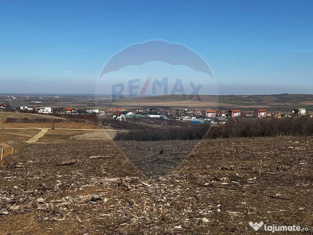 Teren de vânzare – Paleu, județul Bihor | 3 parcele a... 