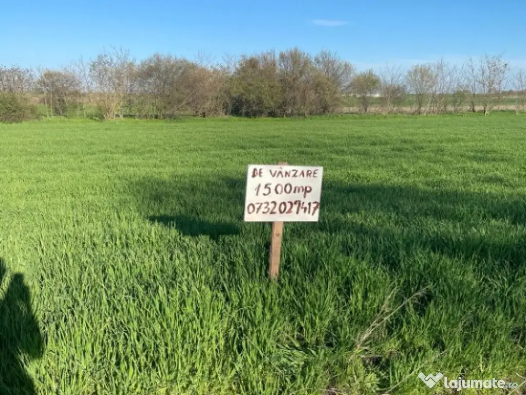 1500mp Teren intravilan de vânzare în Vișini, judetul Calarasi 