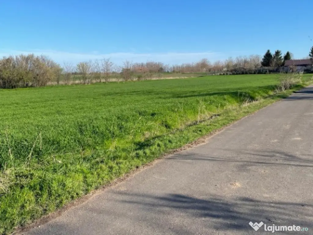 1500mp Teren intravilan de vânzare în Vișini, judetul Calarasi 