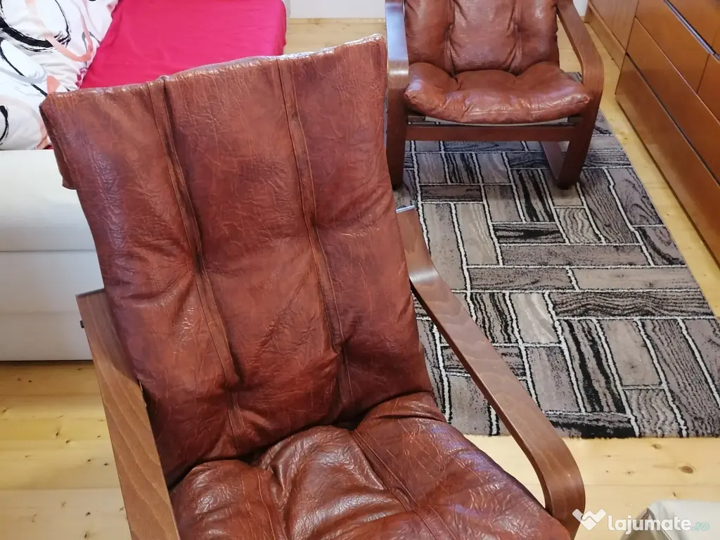 Fotolii tip balansoar 