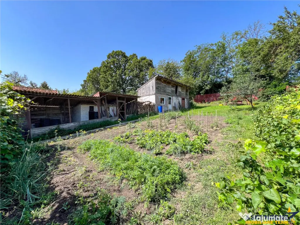 Casa primiroate in decor valoros si rodnic teren de 850mp, I 
