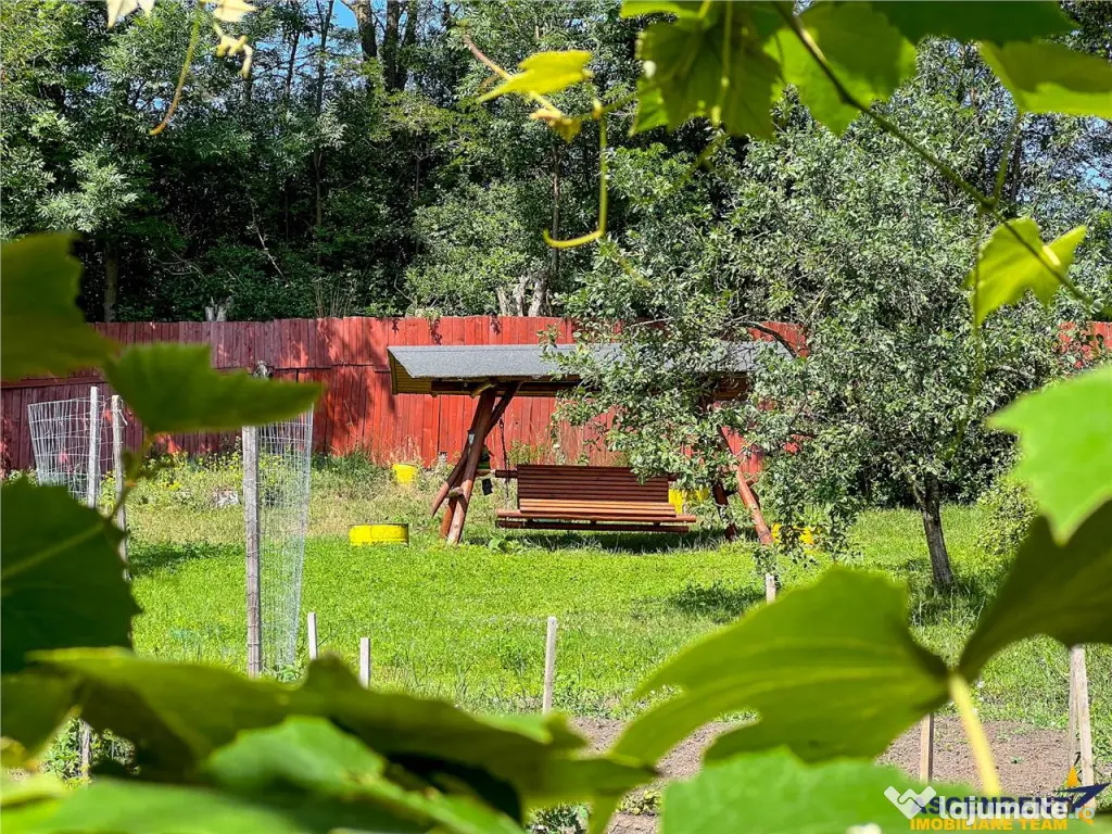 Casa primiroate in decor valoros si rodnic teren de 850mp, I 