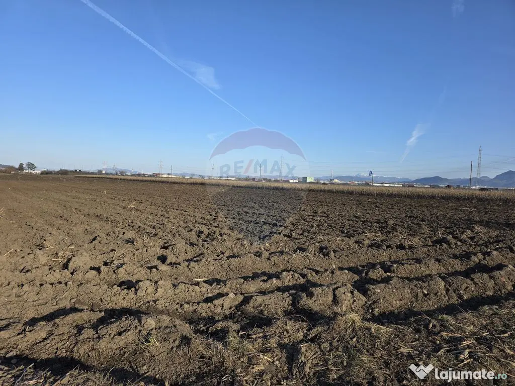 Teren intravilan, 5000 mp, Stupini, str Pomiculturii