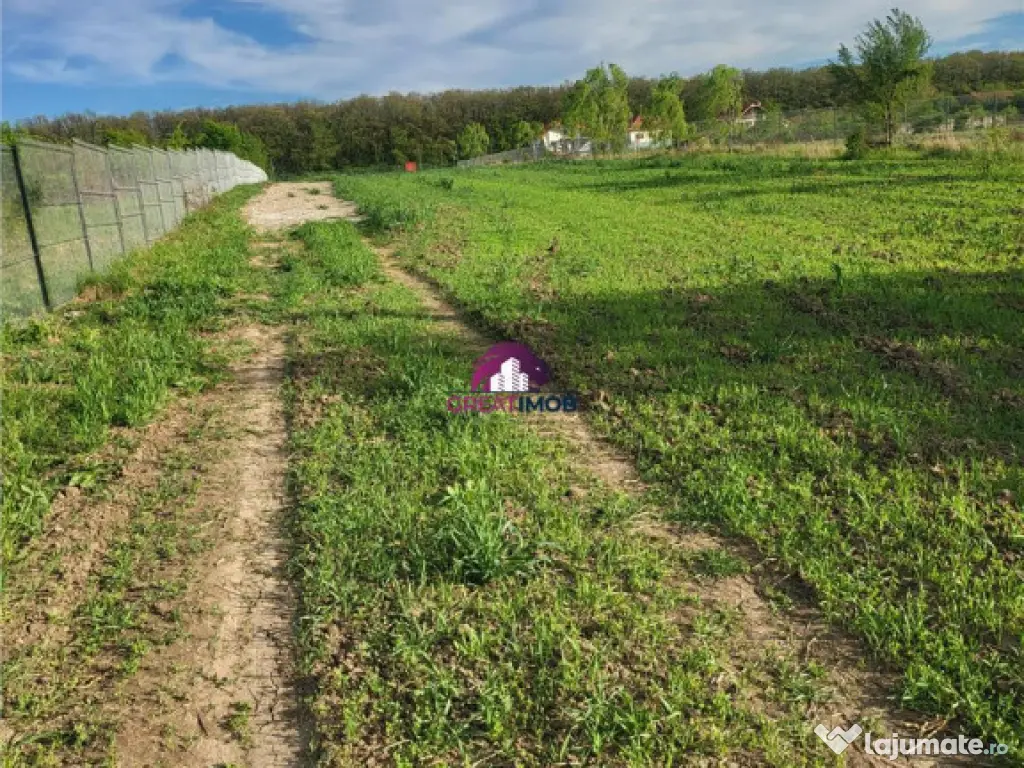 Teren 5600 mp Snagov Lac 