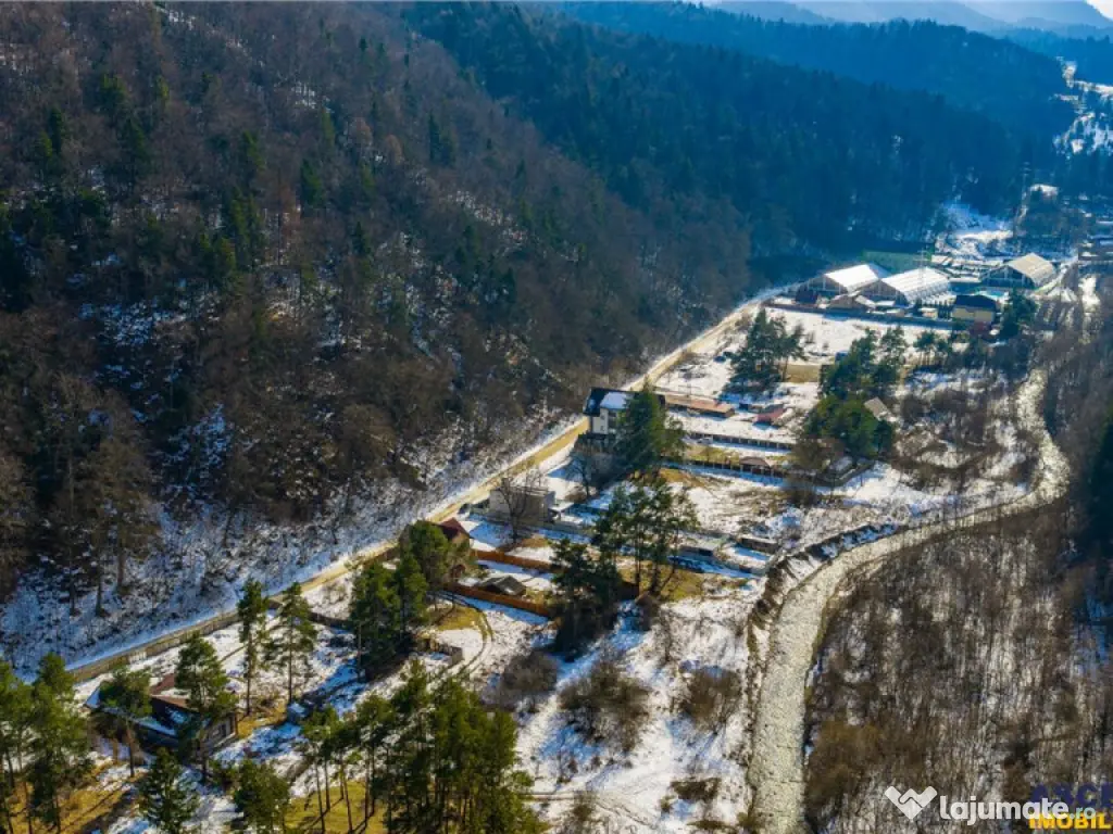 Film! Teren intravilan pe 1.300mp, arie apreciabila de case, 