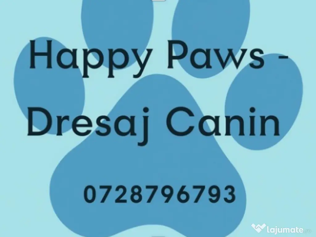 Dresaj canin, disciplina si socializare