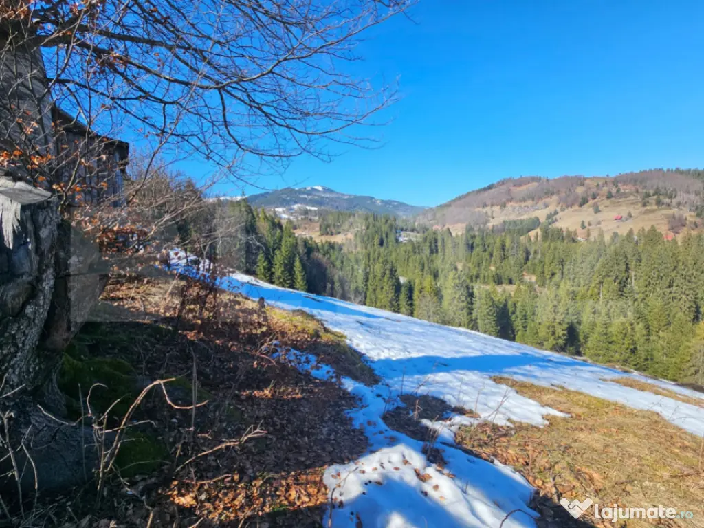 Teren 2 ha, cu pădure proprie și panoramă spre munți, Ar