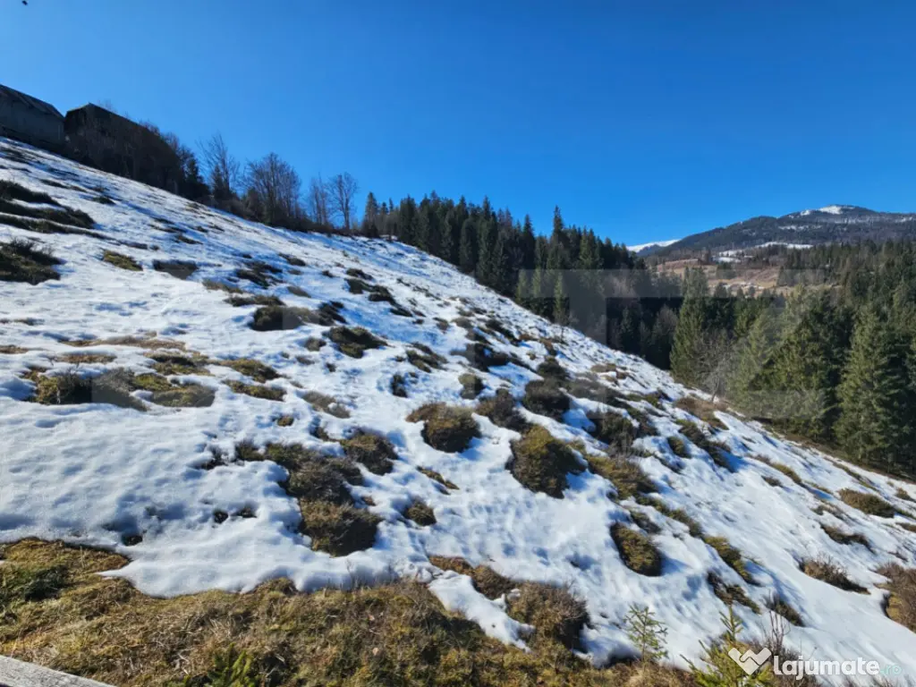 Teren 2 ha, cu pădure proprie și panoramă spre munți, Ar