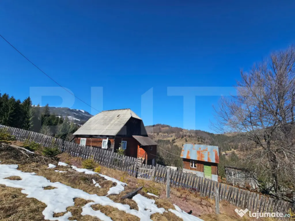 Teren 2 ha, cu pădure proprie și panoramă spre munți, Ar