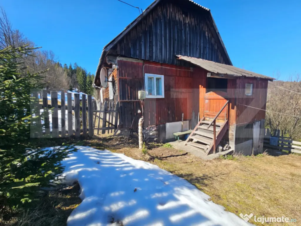 Teren 2 ha, cu pădure proprie și panoramă spre munți, Ar