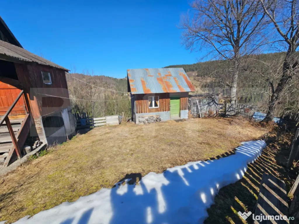 Teren 2 ha, cu pădure proprie și panoramă spre munți, Ar