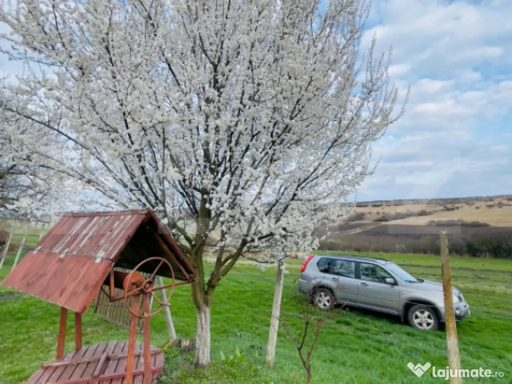 Cabană deosebită cu livadă și panoramă superbă–refug 