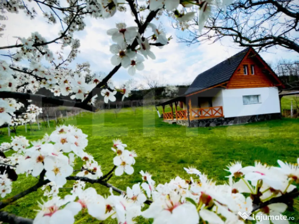 Cabană deosebită cu livadă și panoramă superbă–refug 